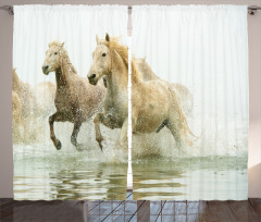 Camargue Horses in Water Curtain
