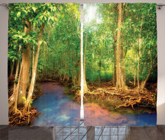 Roots of Mangrove Trees Curtain