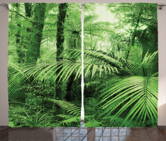 Palm Trees Exotic Plants Curtain