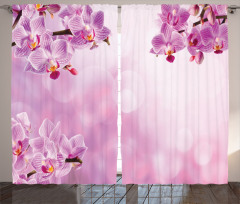 Orchid Spring Petals Spa Curtain