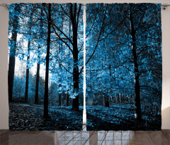 Autumn Woodland Curtain