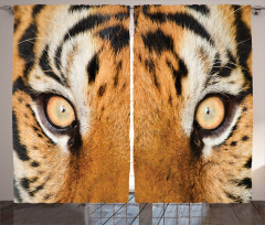 Tiger Eyes Wild Curtain