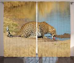 Leopard in Safari Curtain