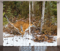 Bengal Tiger Wild Animal Curtain