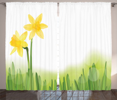 Daffodils with Grass Curtain