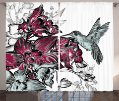 Orchids and Hummingbird Curtain