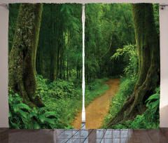 Jungle Forest Trees Curtain