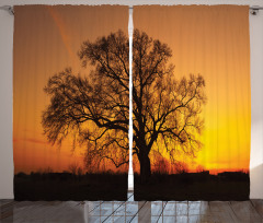 Old Oak at Sunset View Curtain