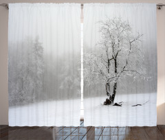 Winter Snowy Forest Cold Curtain