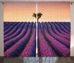 Lavender Flowers Field Curtain