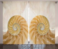 Symmetrical Seashells Curtain