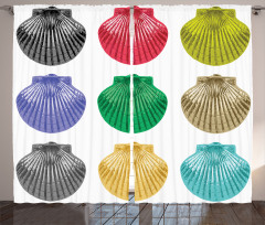 Seashells Composition Curtain