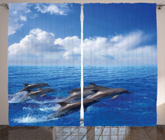 Jumping Dolphins in Sky Curtain
