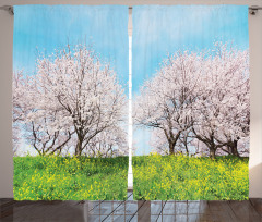 Japanese Spring Flowers Curtain