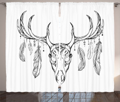 Skull with Antler Feather Curtain