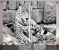 Wild Tiger Jaguar Curtain