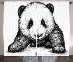 Baby Panda Bear Sketch Curtain