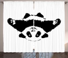 Panda Wants to Hug Curtain