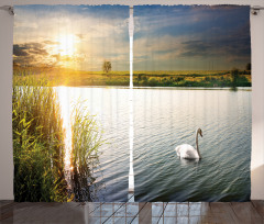 Swan in River at Dawn Photo Curtain