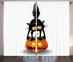 Cartoon Animal on Pumpkin Curtain
