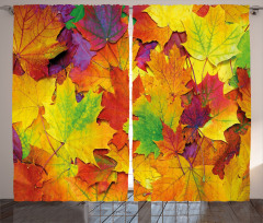 Colorful Maple Leaves Curtain