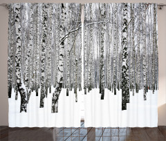 Snowy Forest Photo Woodland Curtain