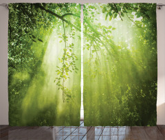 Sunbeams in Woodland Curtain