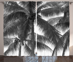 Coconut Palms Tropical Curtain