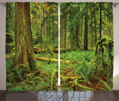 Woodland Bushes Moss Curtain