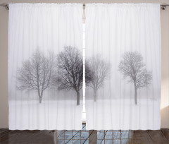 Misty Winter Scenery Curtain