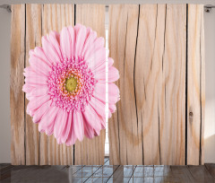 Pink Gerber on Wooden Curtain