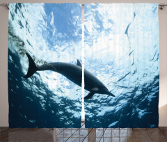 Swimming Dolphin Curtain