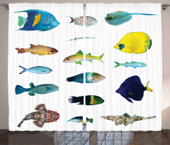 Marine Life Creatures Curtain