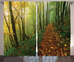 Forest Path View Curtain