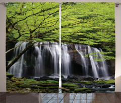 Rock Tree in Waterfall Curtain