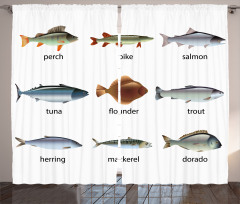 Aquatic Animal Composition Curtain