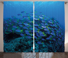 Shoal Reef Ocean Curtain