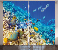 Aquatic Corals Curtain