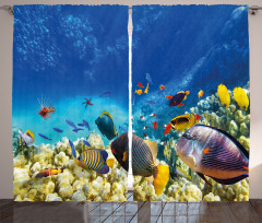 Ocean Animals Curtain