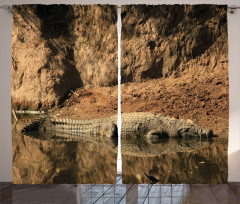 Crocodile Hunt in Wild Curtain
