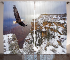 Bald Eagle Landscape Curtain