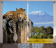 Leopard on a Tree Curtain