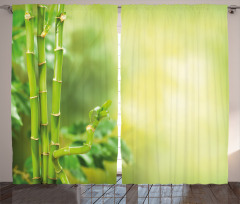 Bamboos Green Trees Curtain