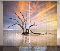 Dead Tree Sun Driftwood Curtain