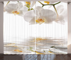Orchids on Rippling Water Curtain
