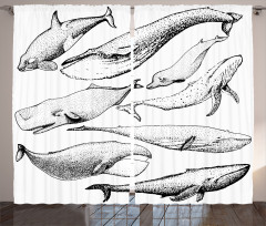 Hand Drawn Single Whale Curtain