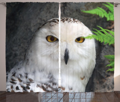Magician Pet White Owl Curtain