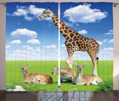 Zoo Animals Curtain