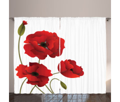 Flowers Petals and Buds Curtain