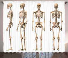Medical Skeleton Curtain